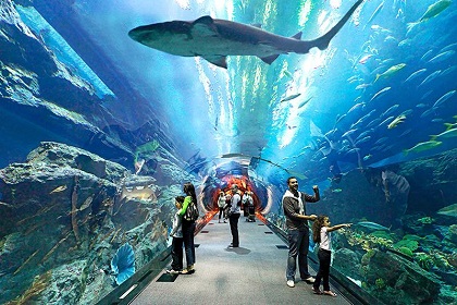Dubai Aquarium (Underwater Zoo)